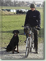 Enzo-Lorenzo